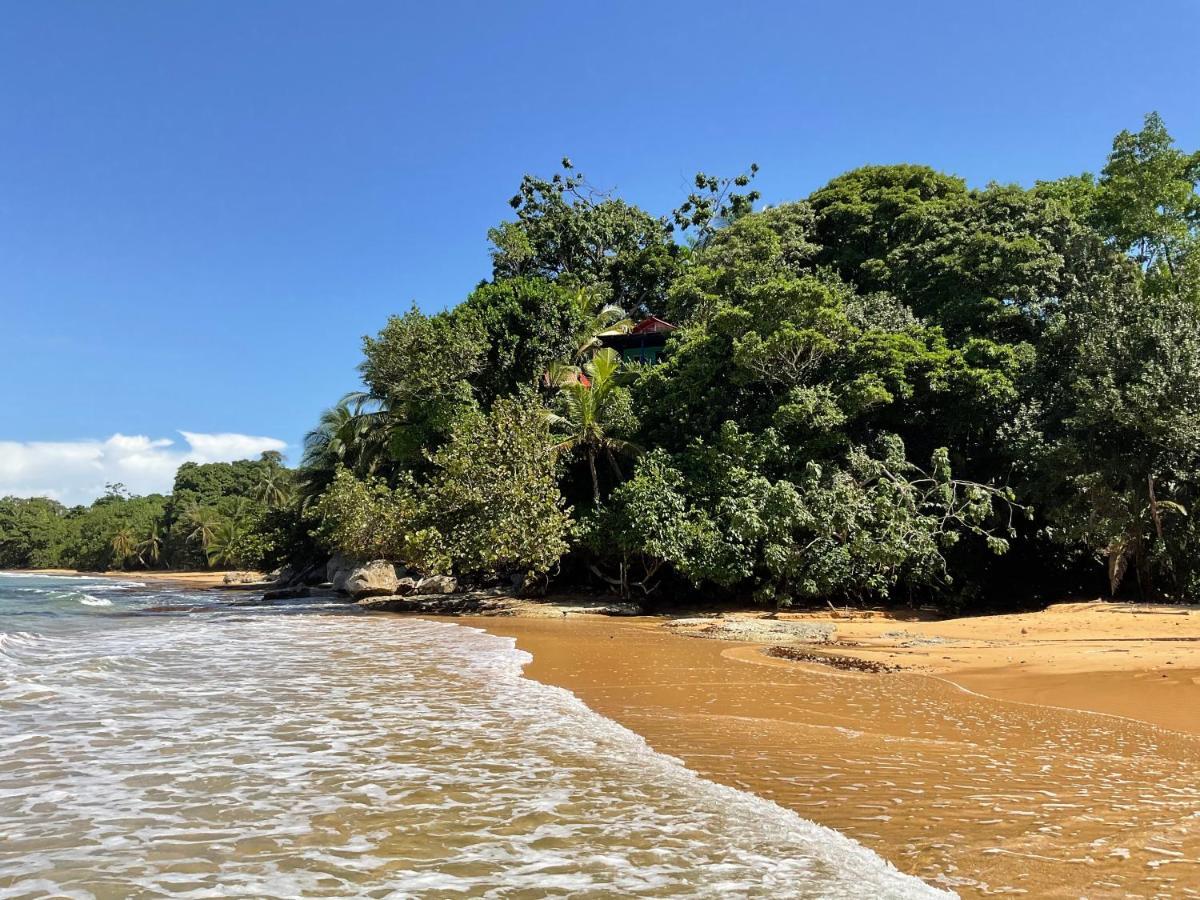 Tesoro Escondido Ecolodge Cabinas Bocas Town Exterior photo
