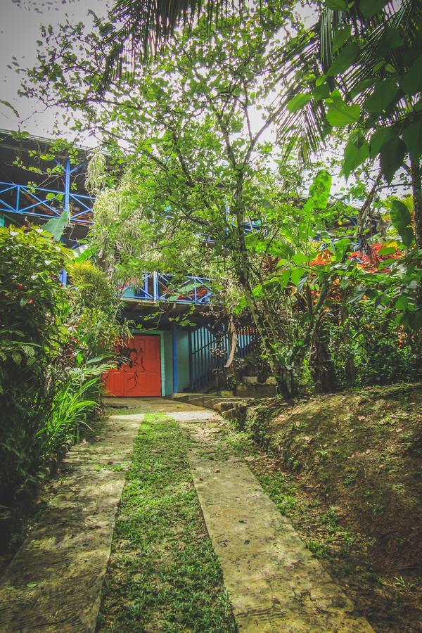 Tesoro Escondido Ecolodge Cabinas Bocas Town Exterior photo